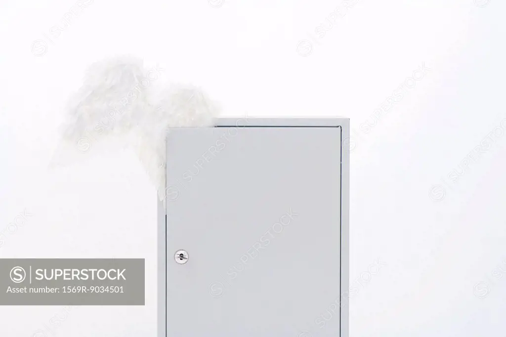 Pair of wings emerging from locked cabinet