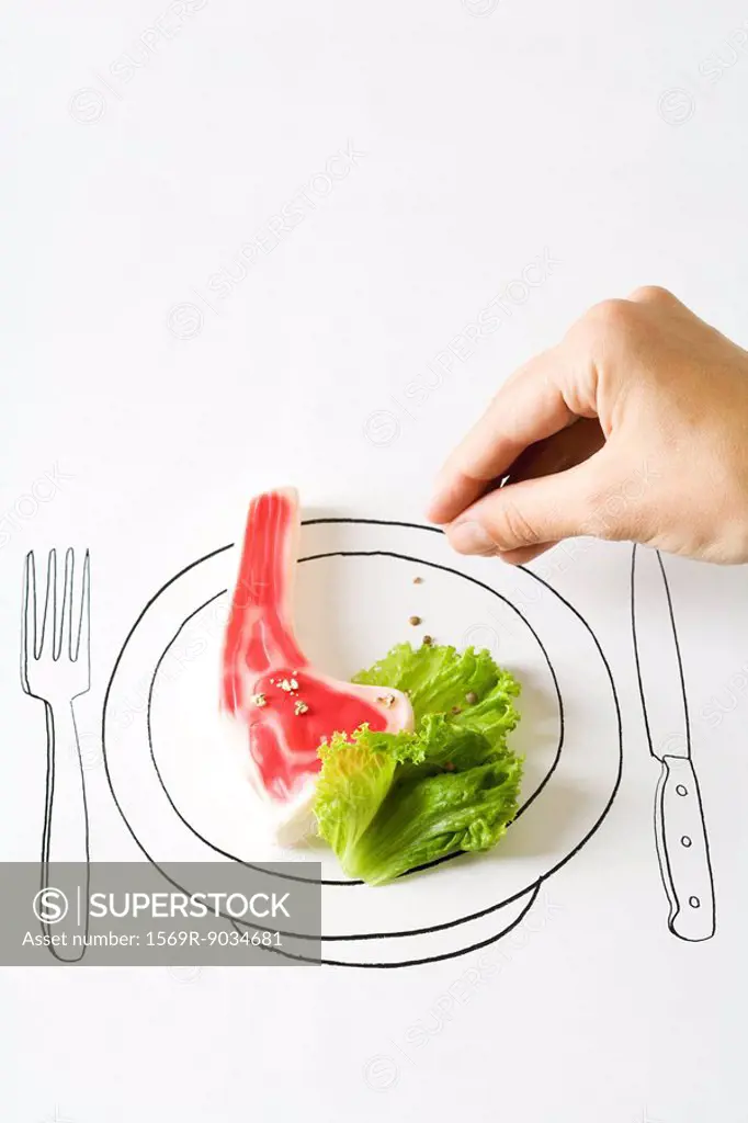 Hand seasoning food on drawing of plate