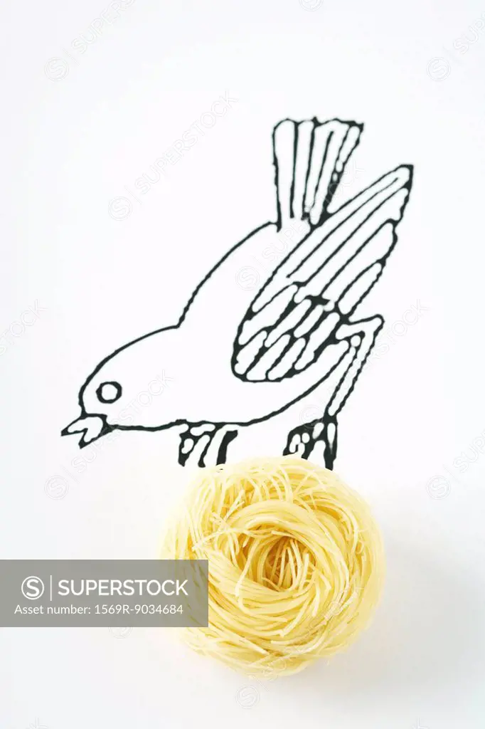Drawing of bird carrying real nest of pasta