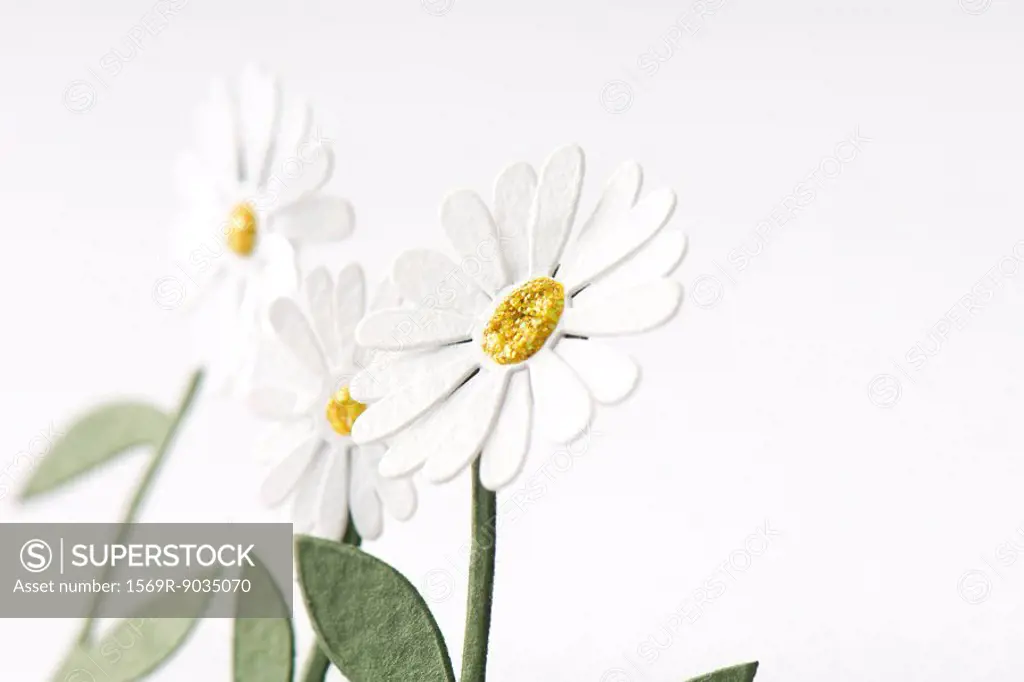 Craft daisies, close-up