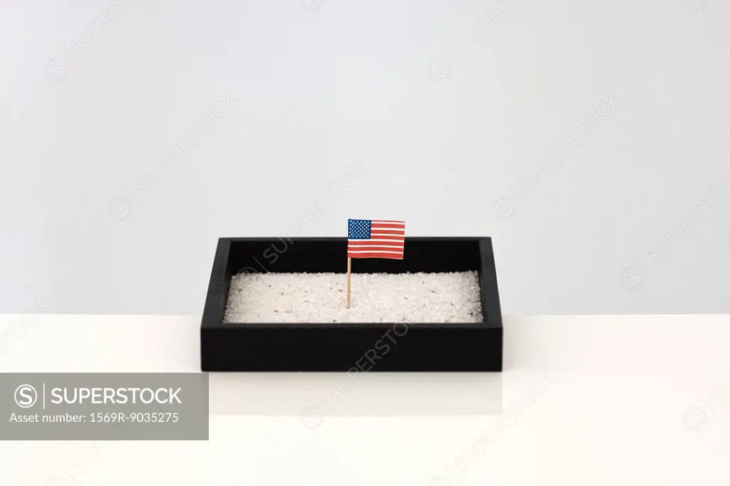 Tiny American flag in box of sand
