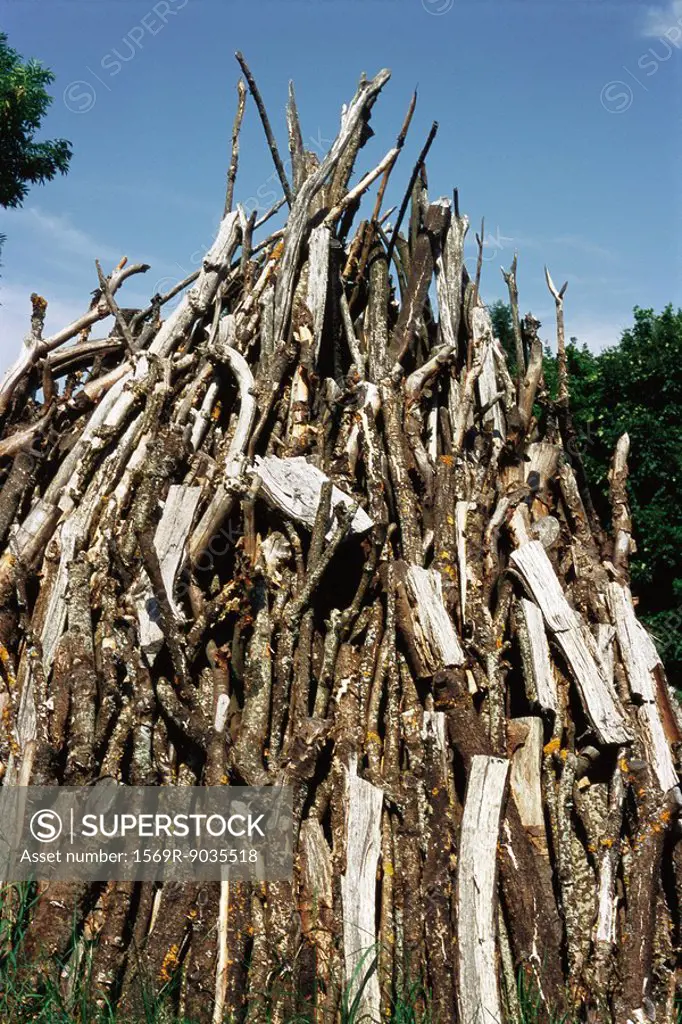Piled timber, low angle view