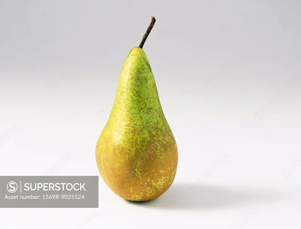 Pear, close-up