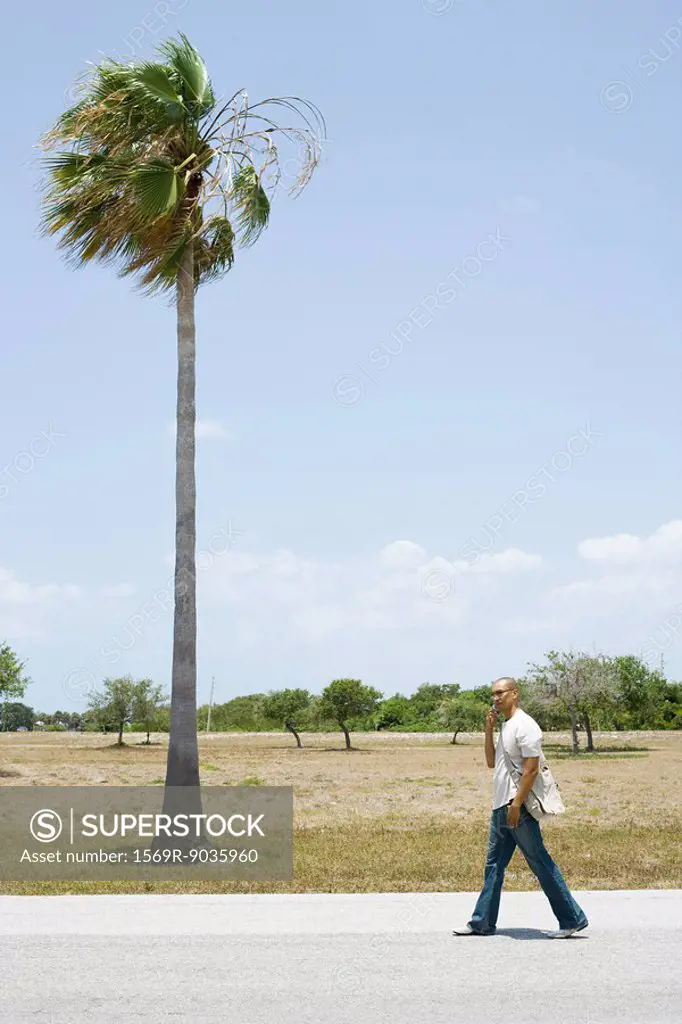 Man walking by palm tree, using cell phone, mid-distance