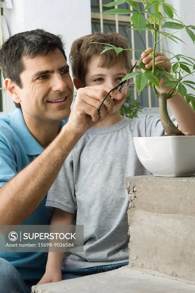 Father and son pruning plant together, smiling