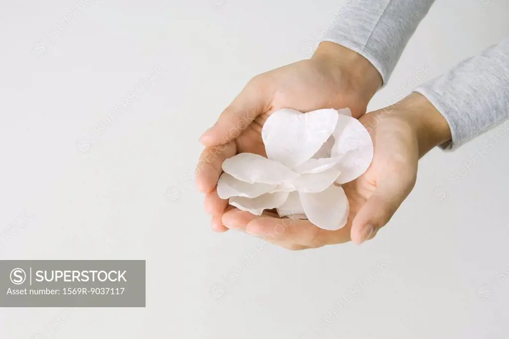 Cupped hands holding flower petals, cropped view