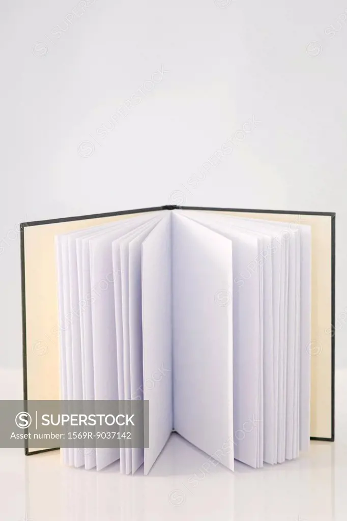 Open book with blank pages, standing up, close-up