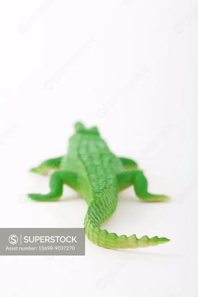 Toy alligator, rear view