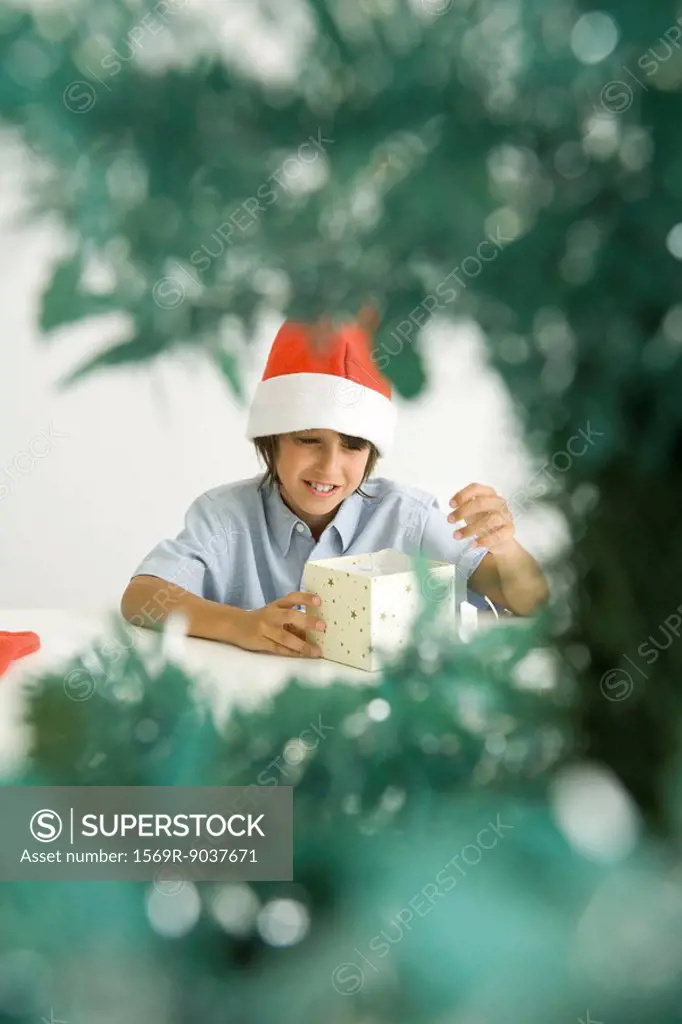 Boy wearing Santa hat, opening gift, viewed through branches of Christmas tree