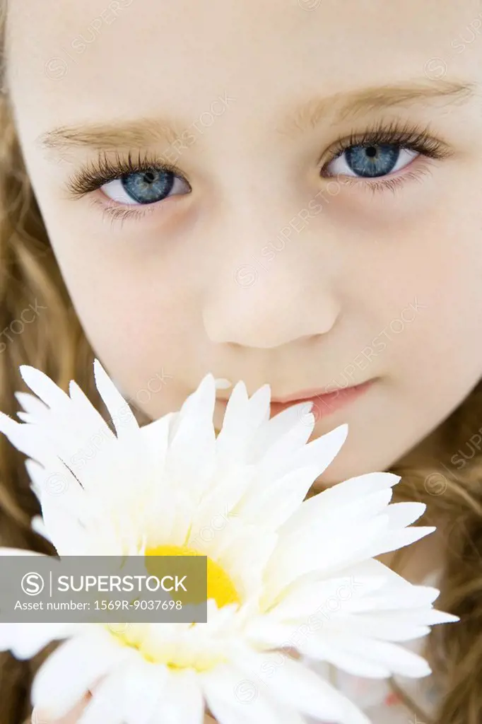 Little girl with blue eyes holding daisy, portrait, close-up