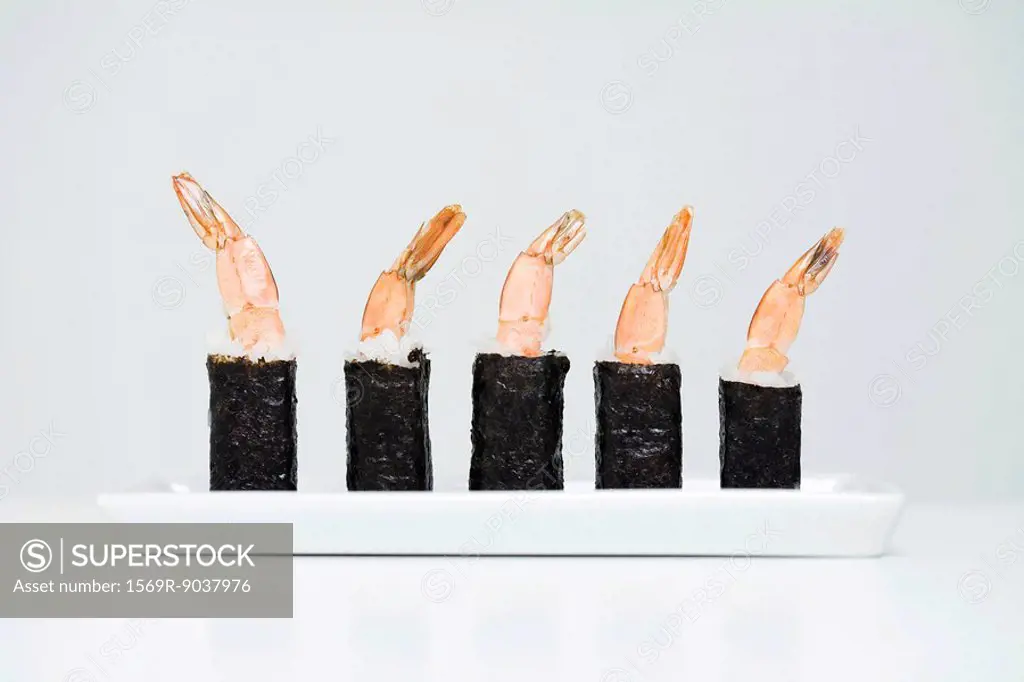 Row of shrimp maki sushi, close-up
