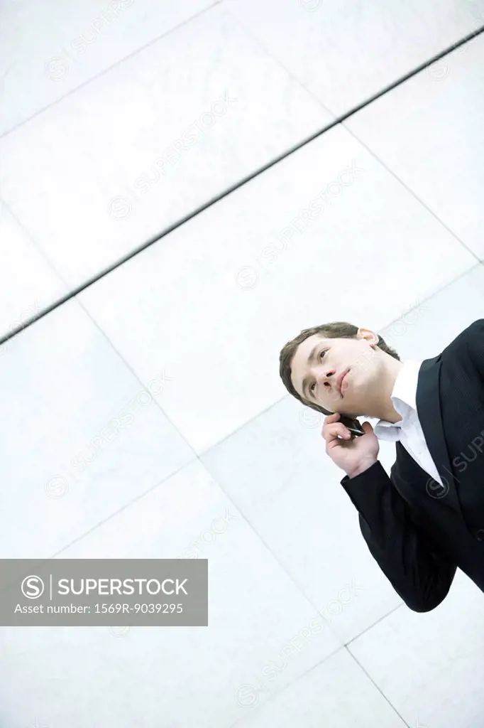Businessman talking on cell phone, low angle view
