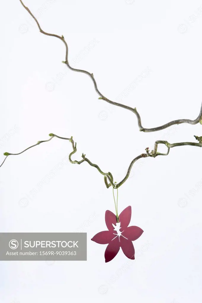 Flower ornament hanging from bare tree branch