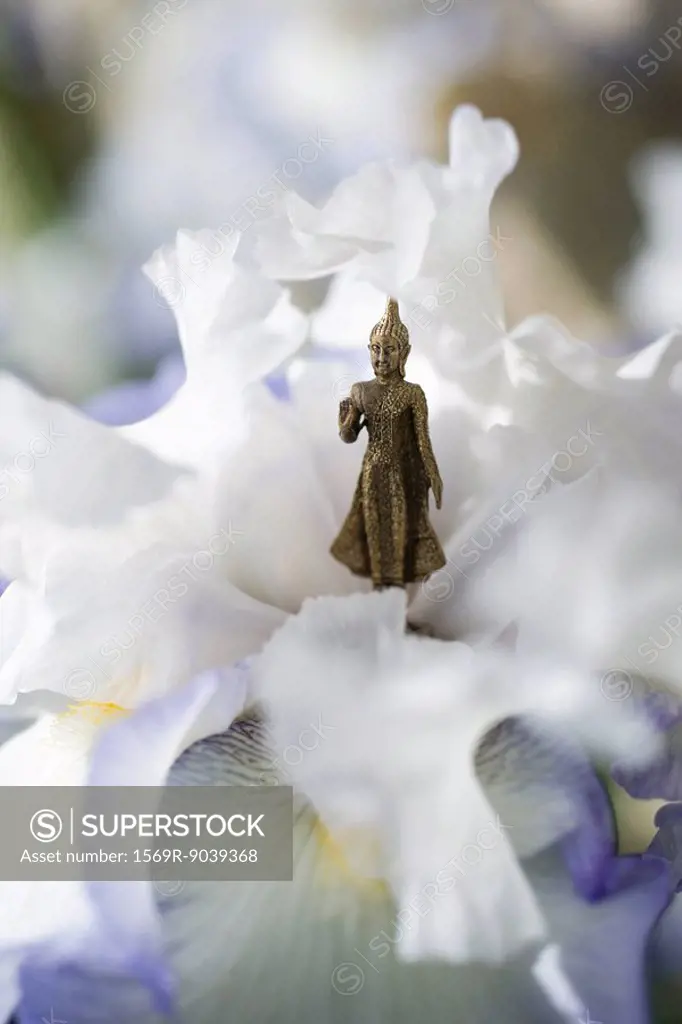 Miniature Buddha figurine standing in center of iris