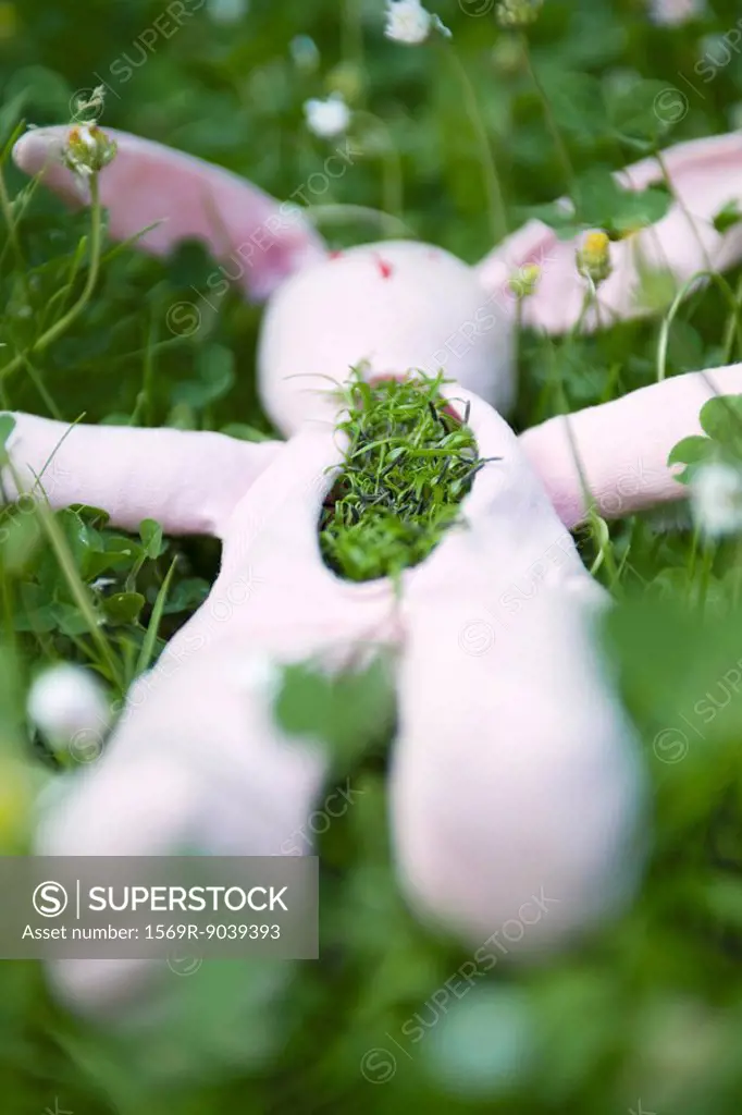 Stuffed rabbit lying on the ground with grass growing out of its chest
