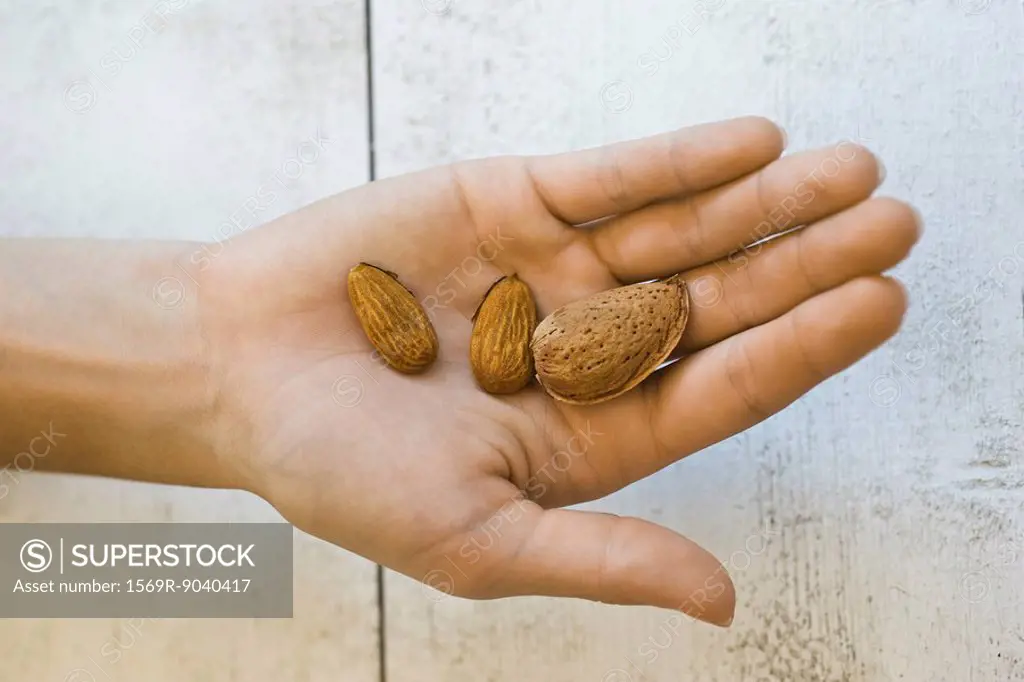 Hand holding almonds