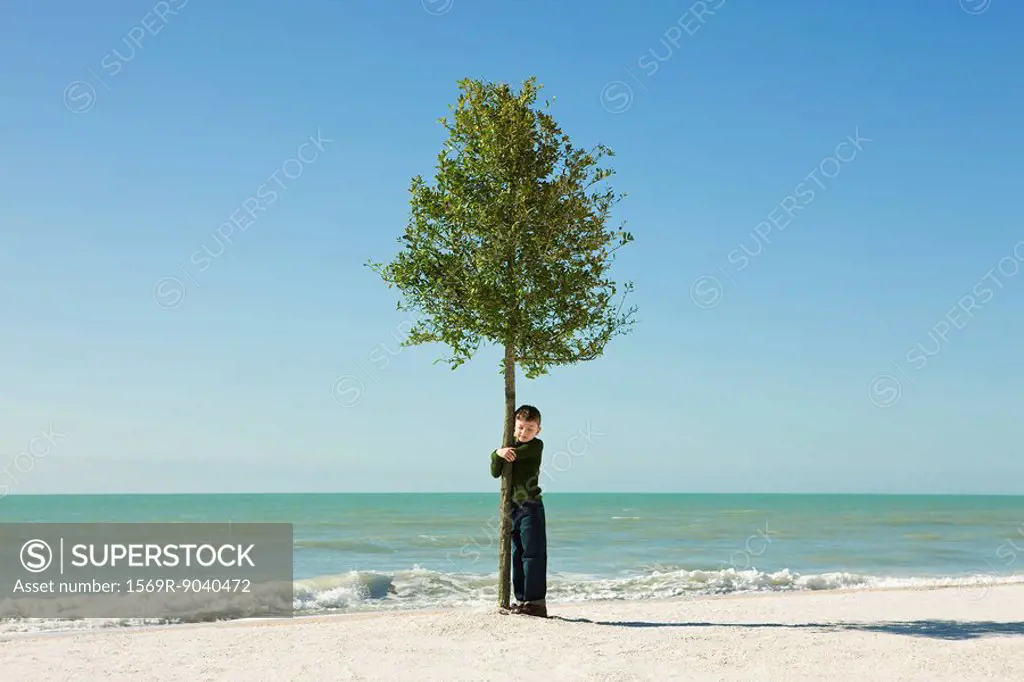 Boy hugging tree growing on beach