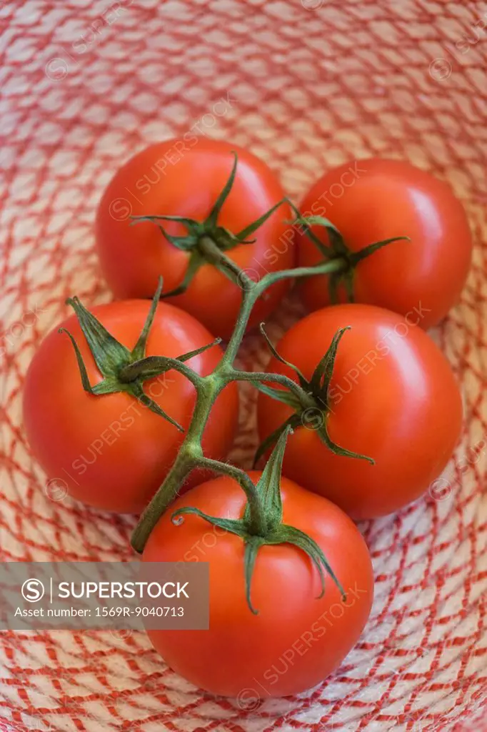 Ripe vine tomatoes