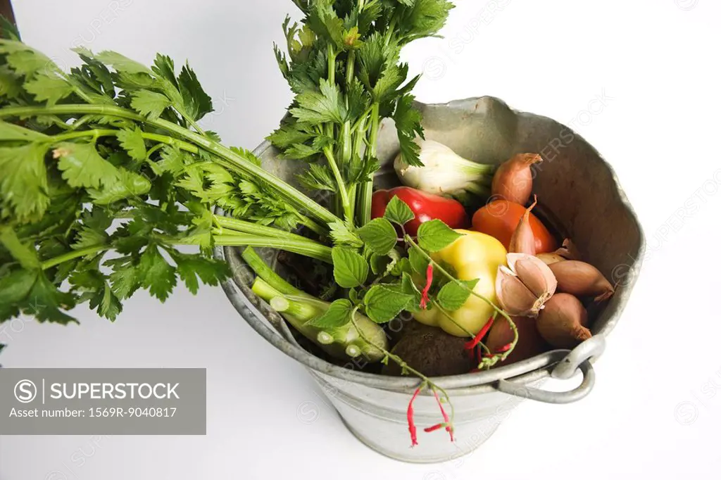Celeriac and assorted vegetables in bucket