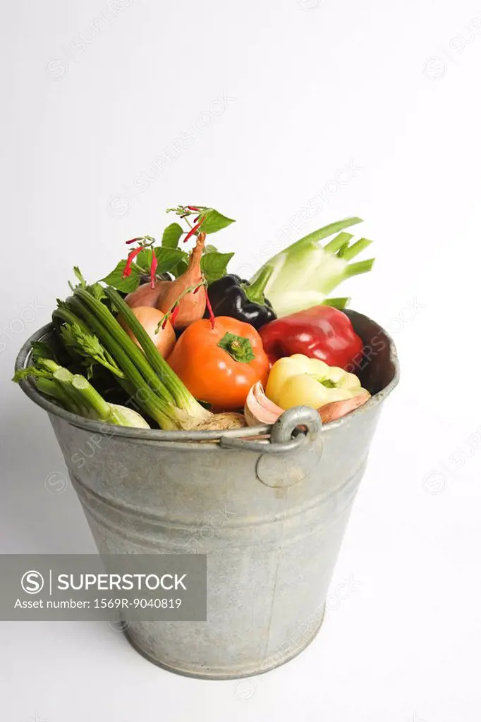 Bucket filled with assorted fresh vegetables
