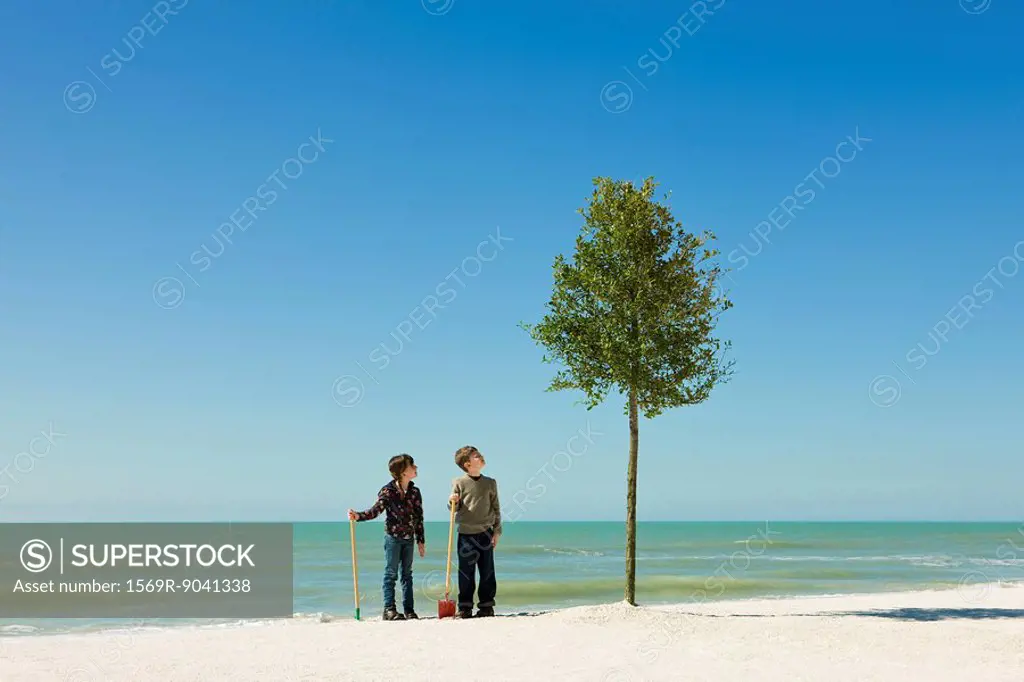 Children standing with shovels beside tree planted on beach