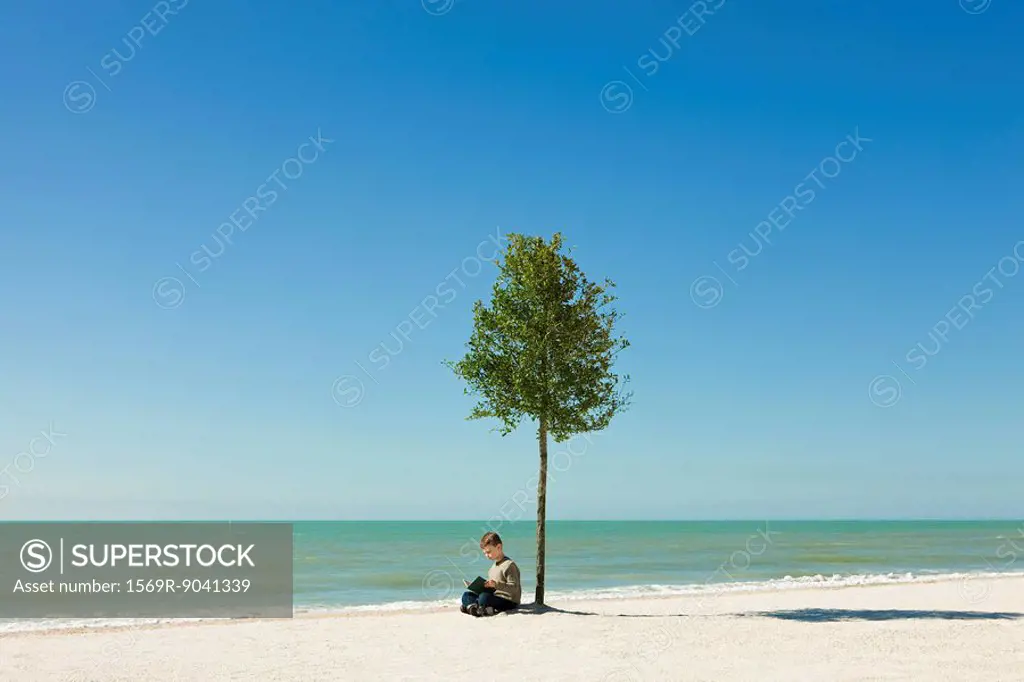 Boy reading book under tree growing on beach