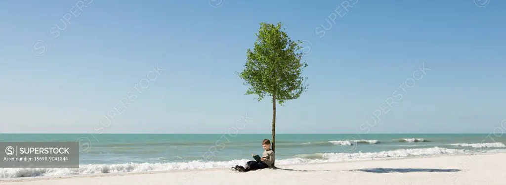 Boy reading book under tree growing on beach