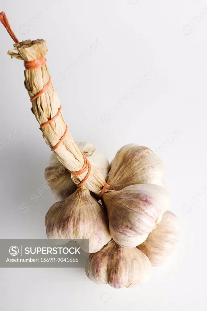 Bunch of garlic bulbs