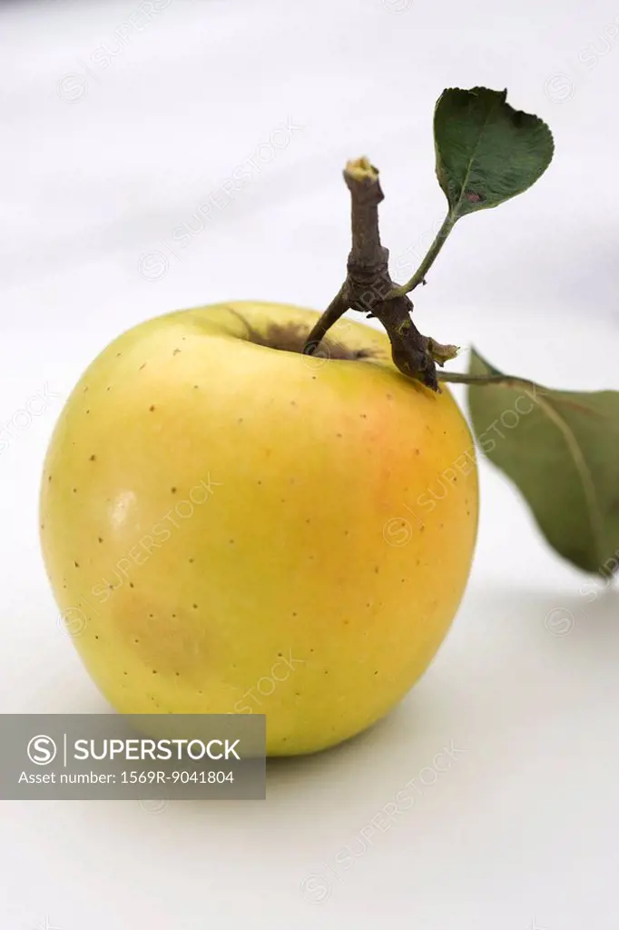 Golden delicious apple