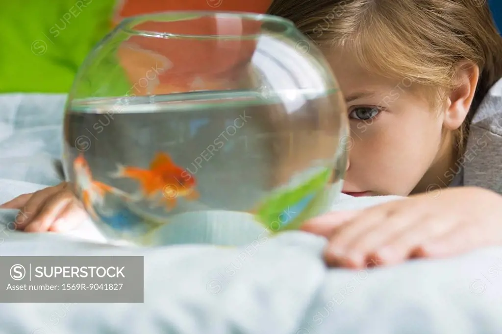 Child watching goldfish swim in fishbowl
