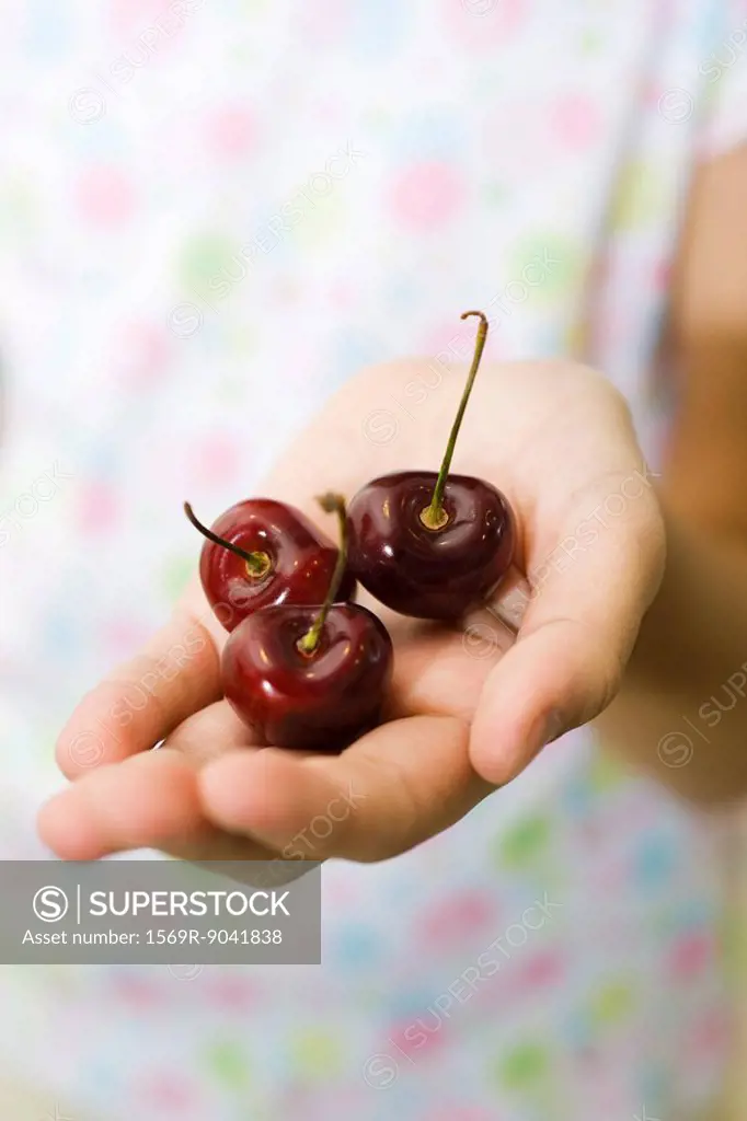Cupped hand holding cherries