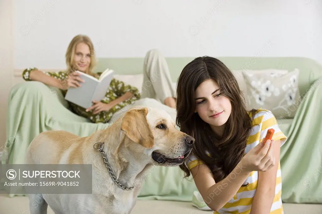 Teenage girl offering dog biscuit to pet dog