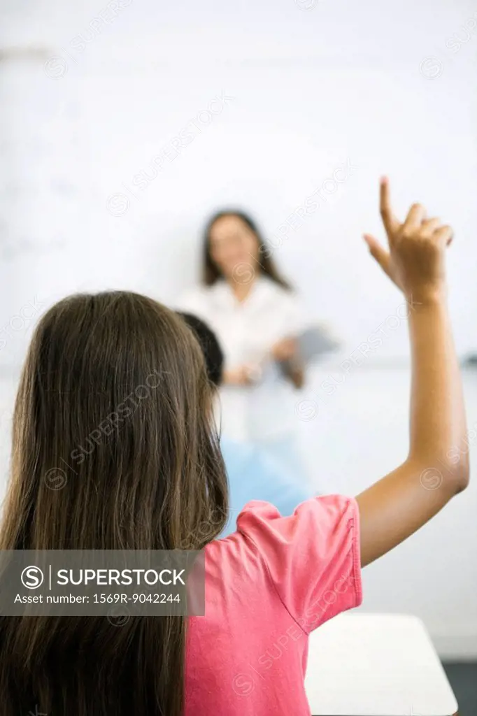 Elementary school student raising hand in class, rear view
