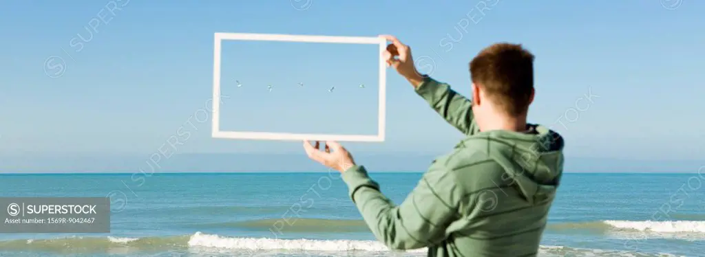 Gulls flying above sea framed in picture frame held aloft by man on beach