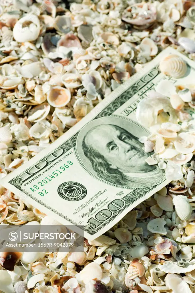 One_hundred dollar bill half buried in seashells