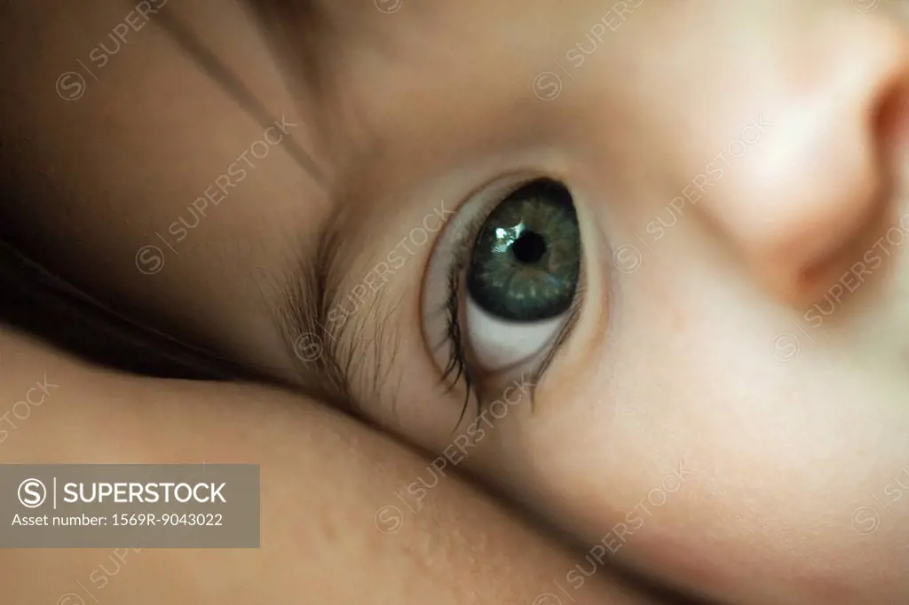 Baby´s eye, close_up