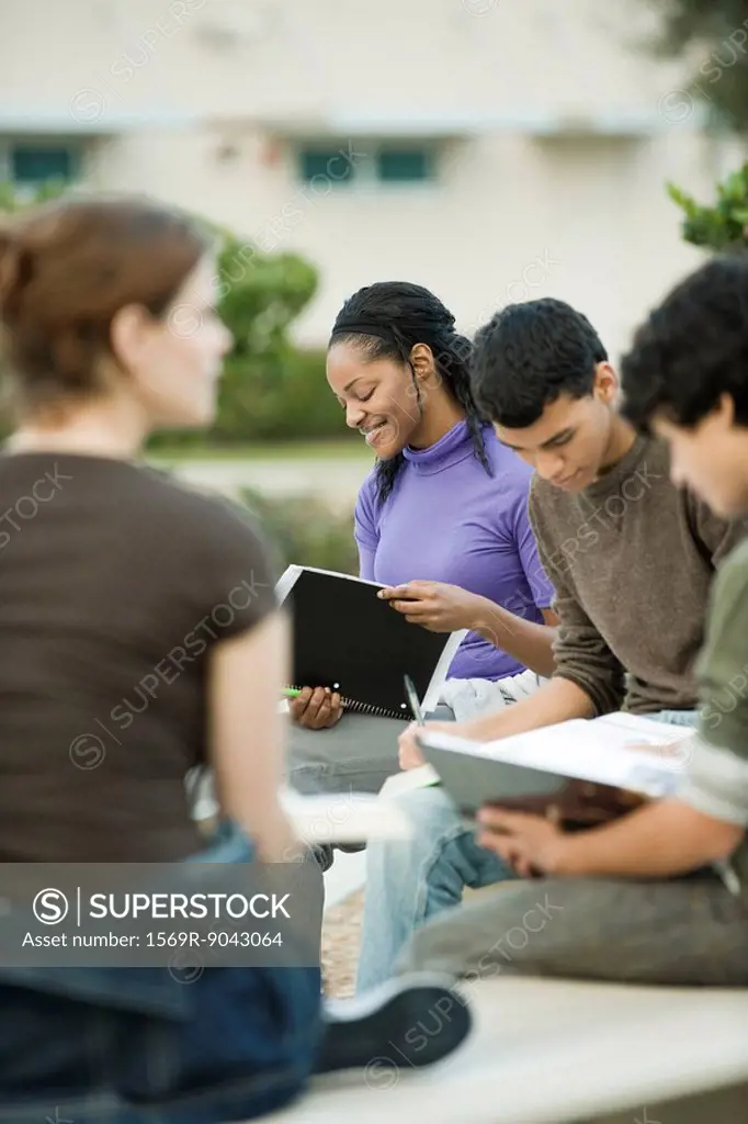College students studying outdoors