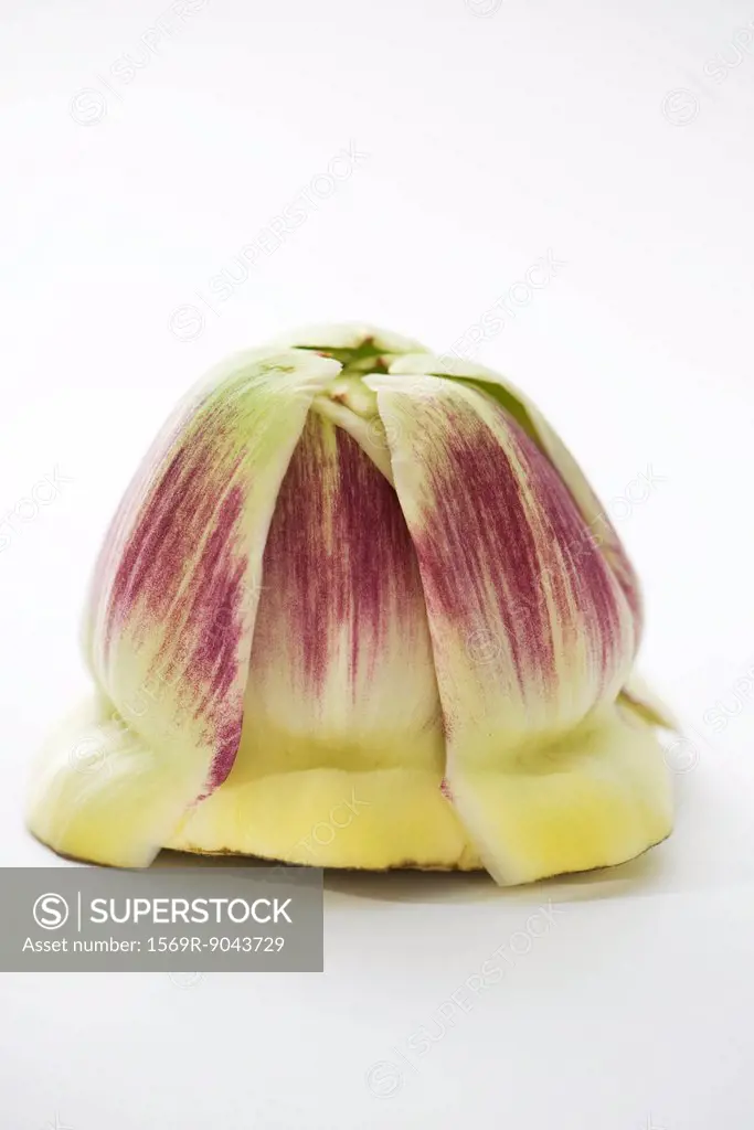 Fresh artichoke