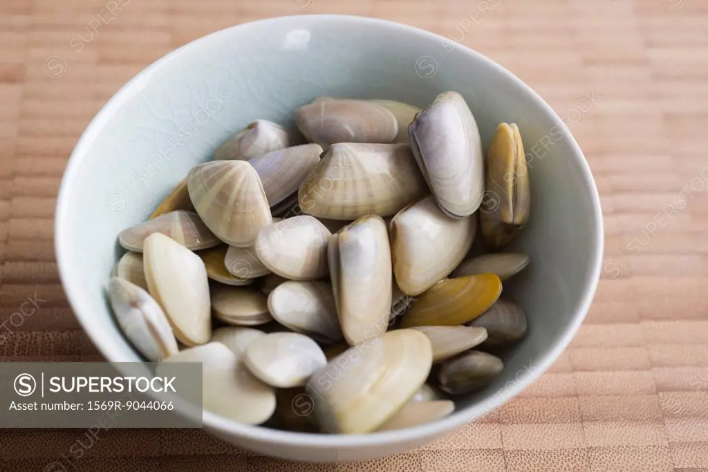 Bowl of fresh clams