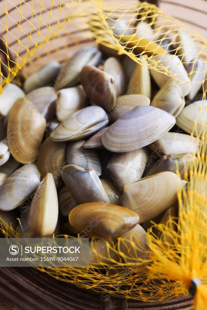 Sack of fresh clams