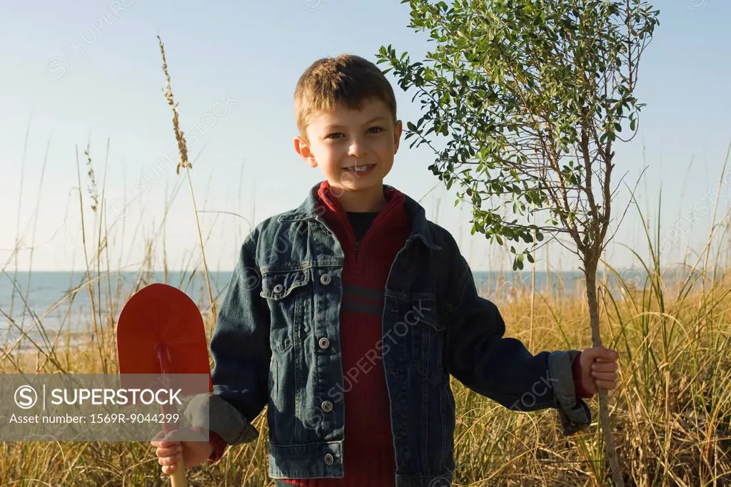 Boy with gardening shovel holding trunk of sapling