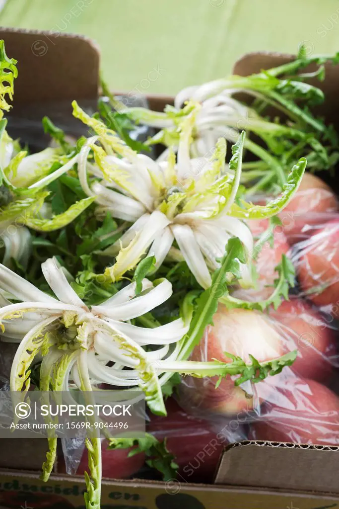 Endive heads and other fresh produce