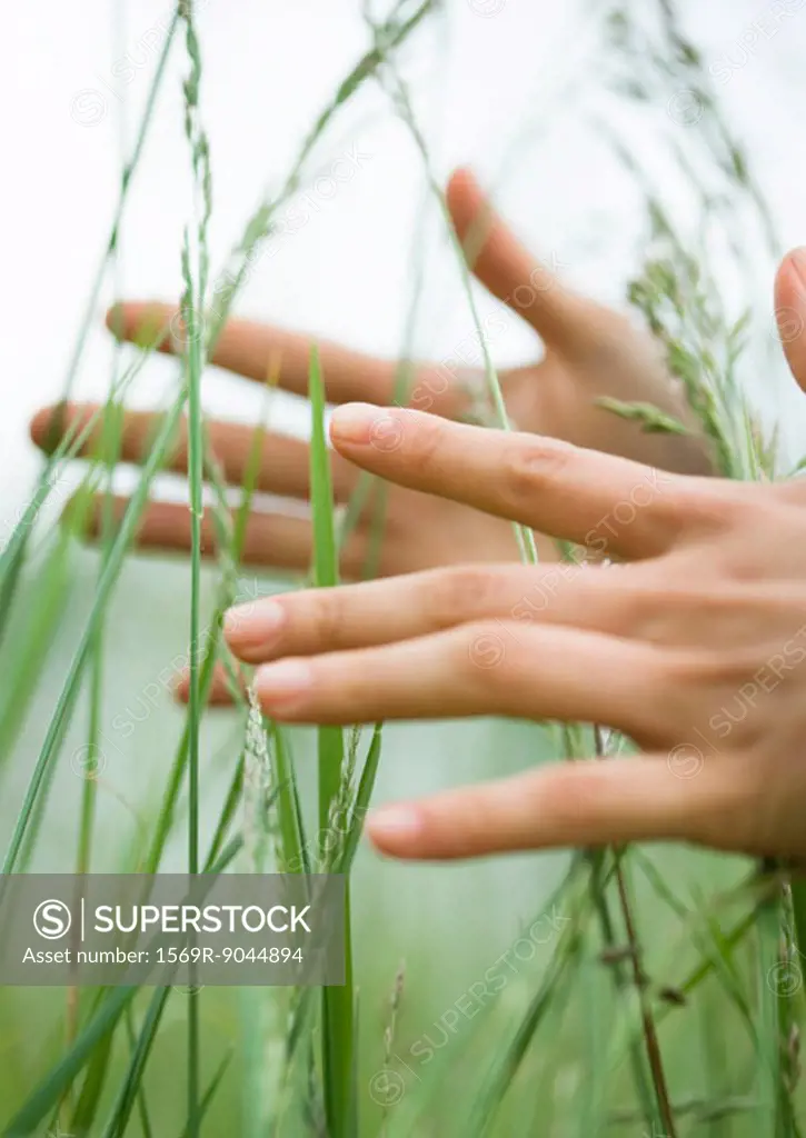 Female hands in long grass