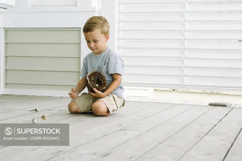 Boy kneeling on the ground, spilling eggs out of bird´s nest