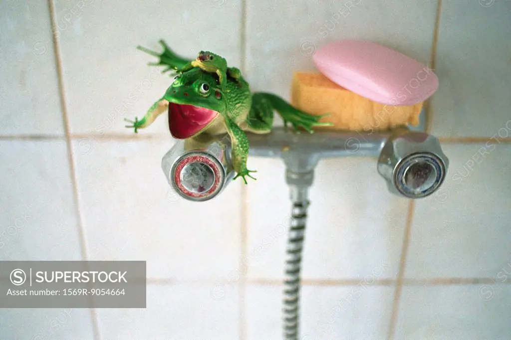Plastic toy frog, sponge, pink bar of soap set on shower faucet