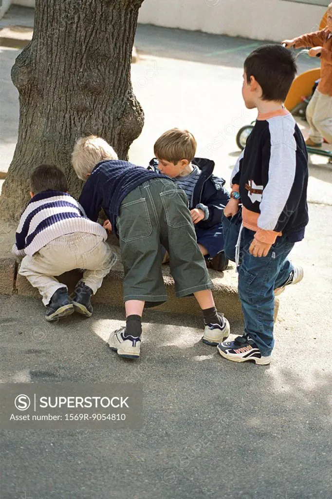 Boys playing beside tree trunk