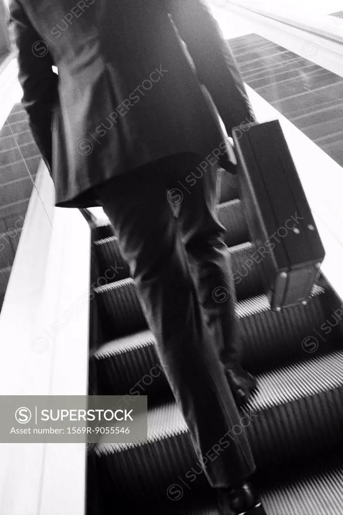 Businessman carrying briefcase ascending escalator, rear view