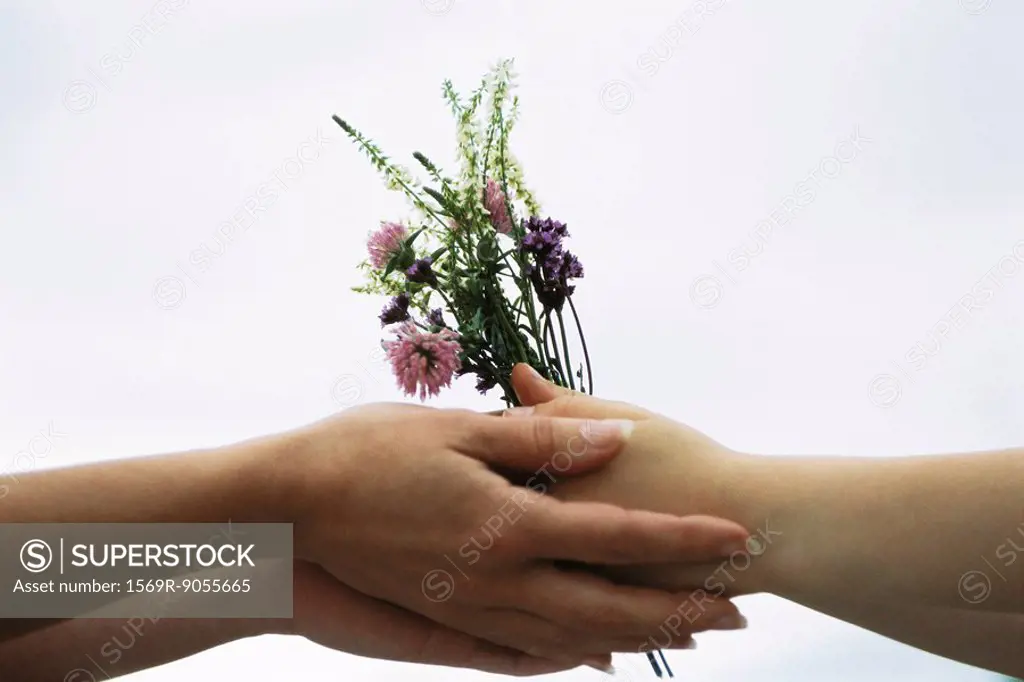 Adult handing young person bouquet of wildflowers, close_up