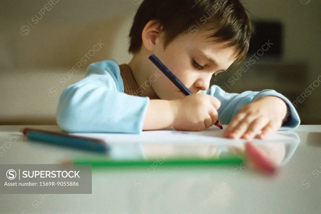 Little boy concentrating on drawing