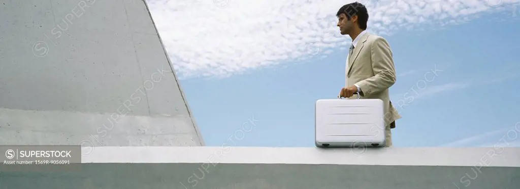 Businessman standing outdoors with briefcase, low angle view